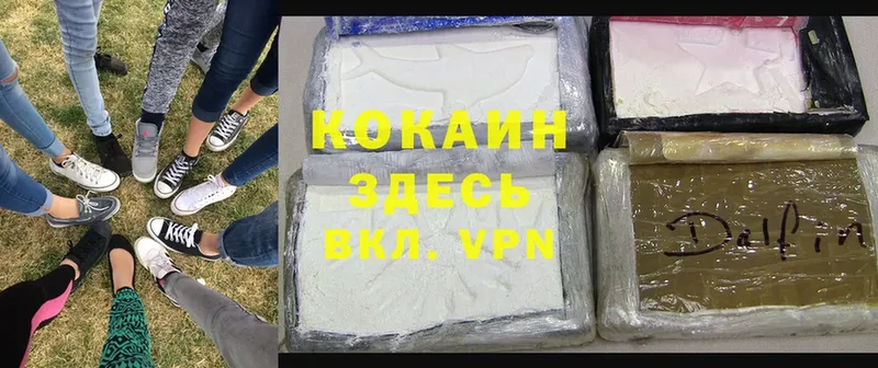 Cocaine Боливия  Горбатов 